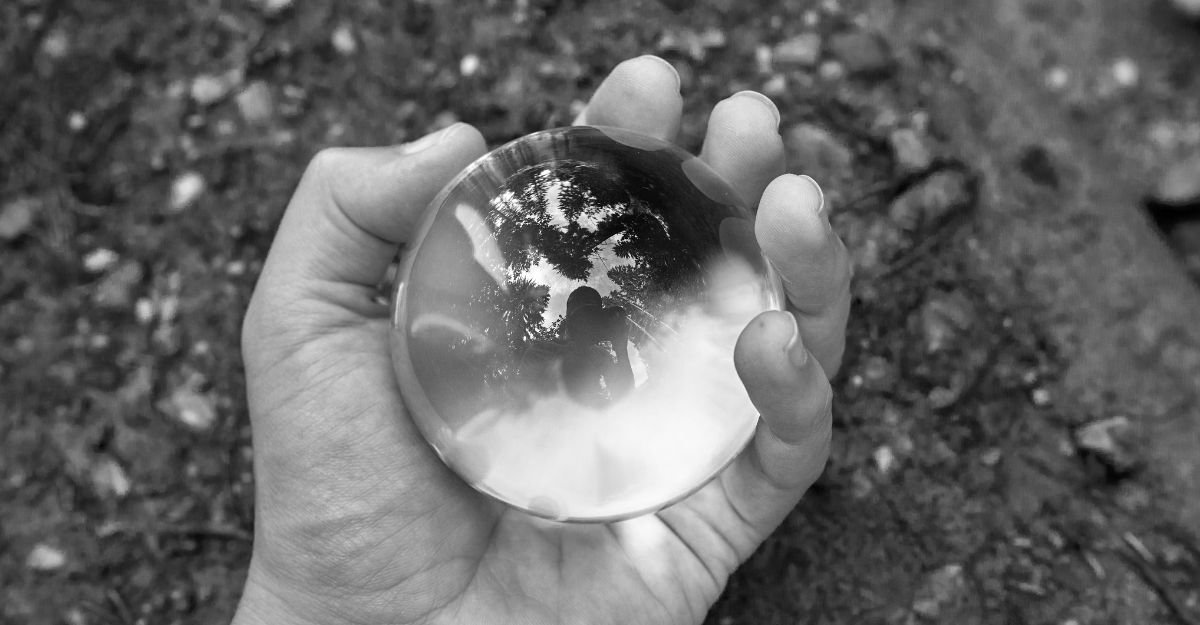 Precies Installs Accountibility